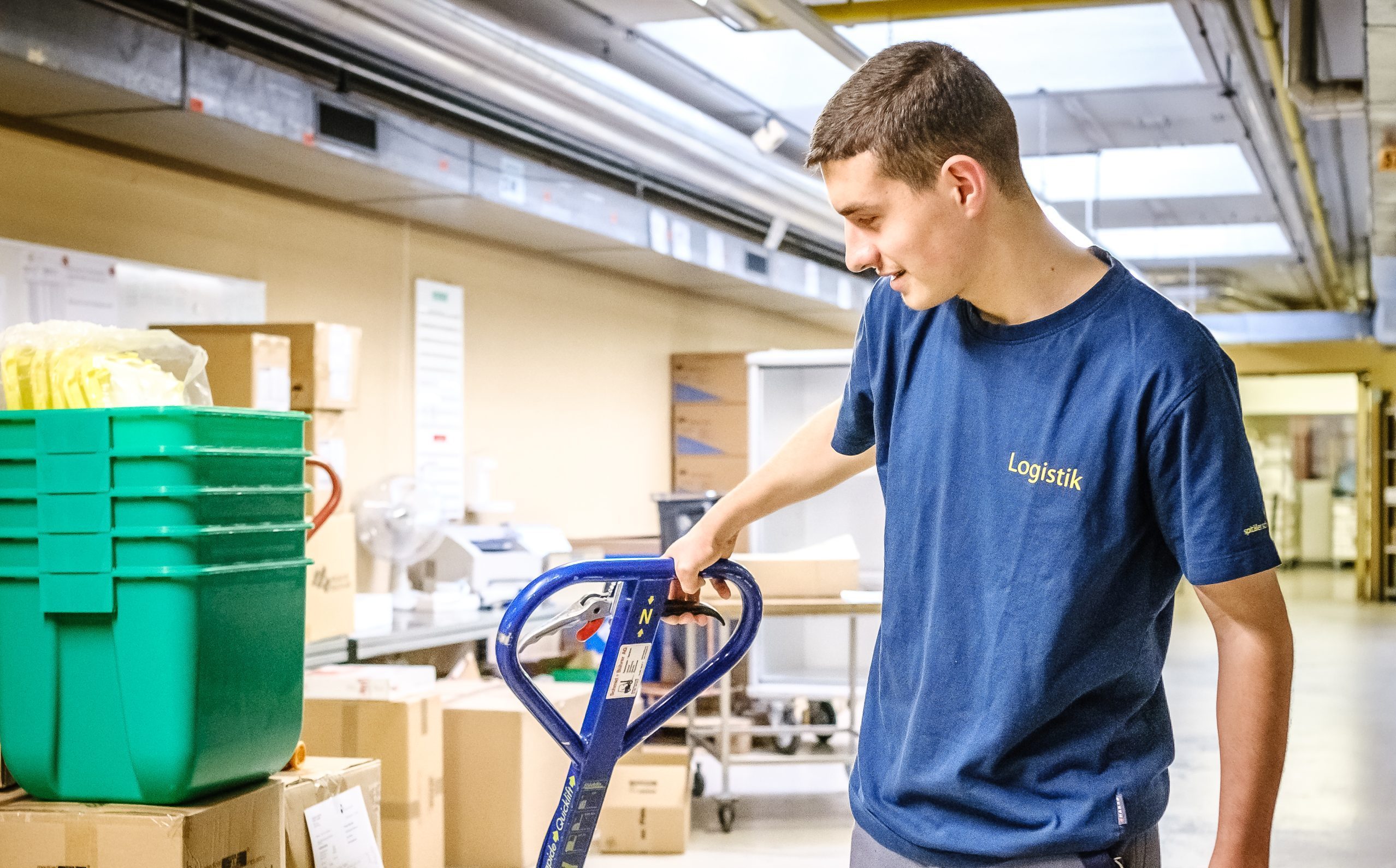 Logistik, Zentrallager, LogisterIn